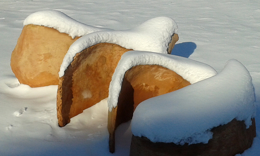 Petits Chevaux de Kikinda sous la neige